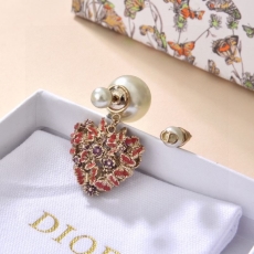 Christian Dior Earrings